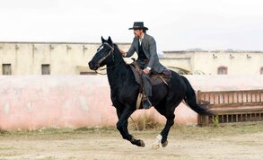 Просмотр фото