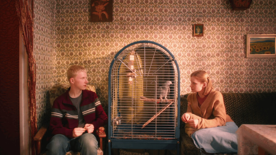 Эйдельштейн — опять мажор, Бортич в роли язвы и еще 5 фильмов с фестиваля «Короче»